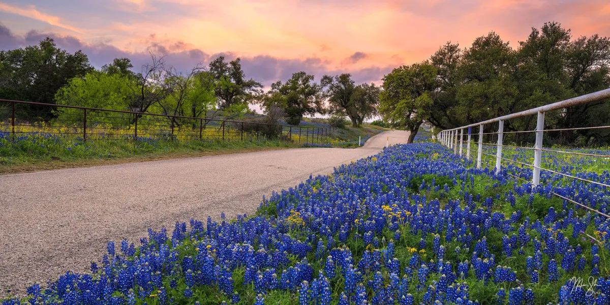 Texas Hill Country
