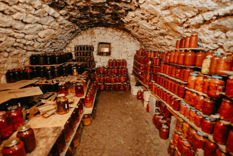 When America's Basements Were Underground Mushroom Empires — Before Anyone Called It 'Foraging'