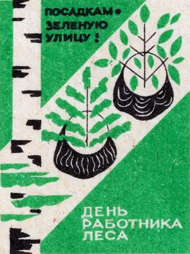 Before Coke Existed, Americans Were Obsessed With This Fermented Tree Drink