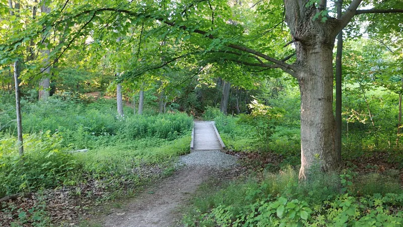 The Ancient Footpaths That Are Still Telling Hikers, Highways, and Park Rangers Where to Go