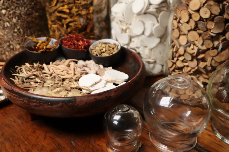 Before the Little White Pill: The Plant Remedies American Doctors Swore By — And Scientists Are Quietly Revisiting