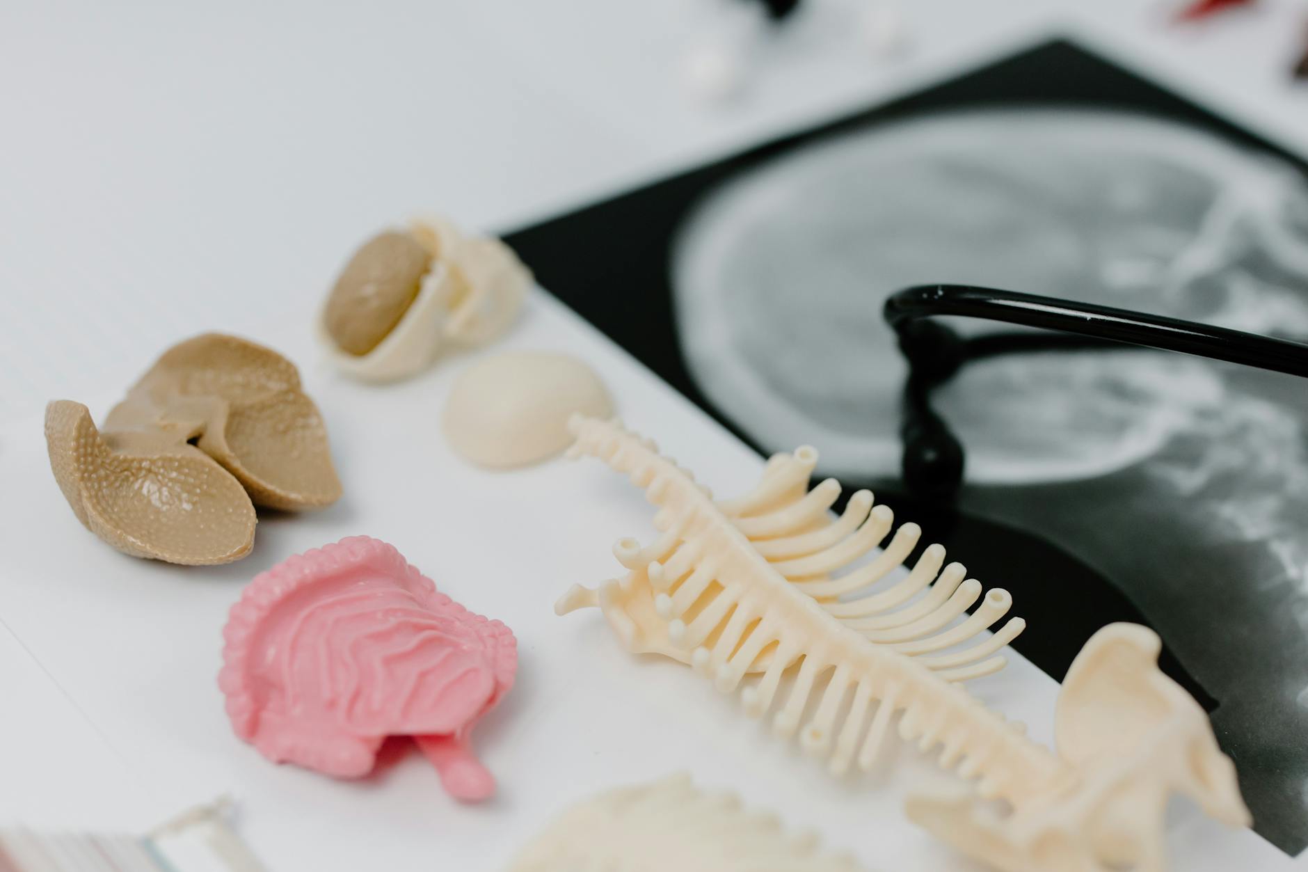 The Creepypasta Lied to You — The True Science of Sleep Deprivation Is Genuinely Disturbing